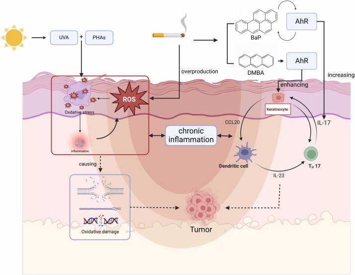 Air Toxin mechanism diagram